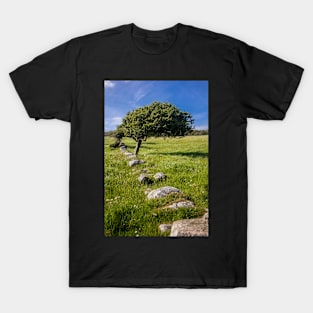 Tree and Remains of Wall near Sandyhills Dumfries and Galloway Photograph T-Shirt